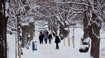Winter scenery from Otaniemi campus