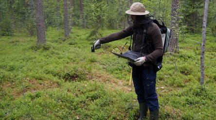 Field measurement of forest floor spectra.