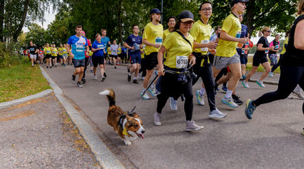 Joukko juoksijoita kilpailussa, yksi henkilö koiran kanssa. Puita ja ruohoa reitin varrella.