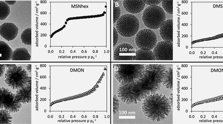 From the article: Confinement and Polarity Effects on the Peptide Packing Density on Mesoporous Silica Nanoparticles by Prof. Mika Linden 
Source: https://pubs.acs.org/doi/10.1021/acs.langmuir.3c03513
used for Coffee and Science, where he will present 