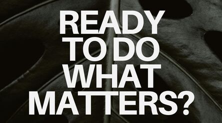 Juliste tummanvihreän lehden päällä, valkoinen teksti: Ready to do what matters? Moral Ambition Aalto