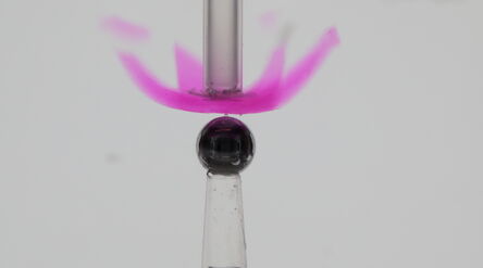 Hydrogel based gripper can be trained to pick up metal ball underwater. 