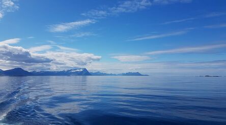 Calm blue sea with a mountainous coastline on the horizon and a ship’s wake visible on the left.