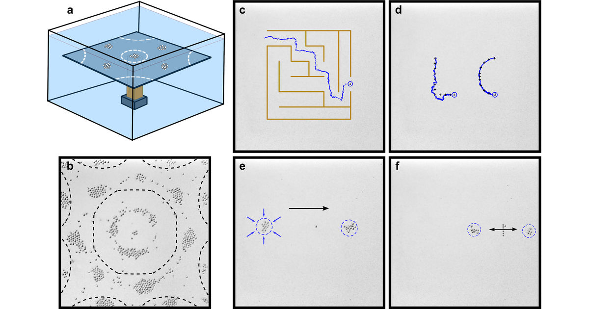 A surprising experiment opens the path to new particle manipulation ...