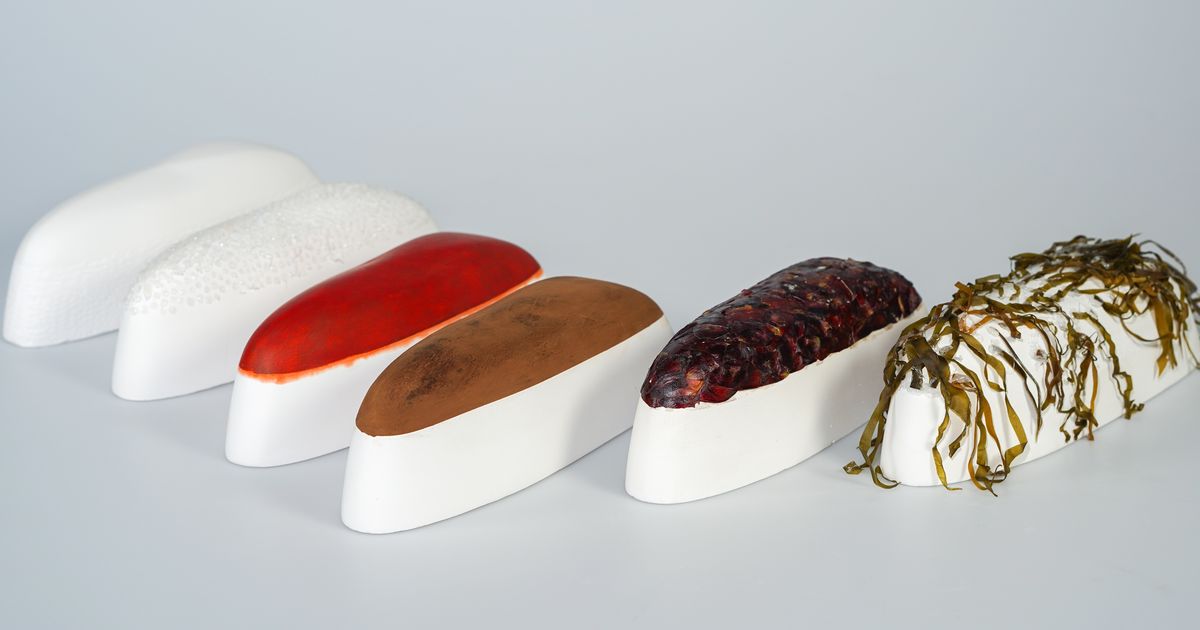 Exploring Nature-Inspired Hull Coatings | Aalto University
