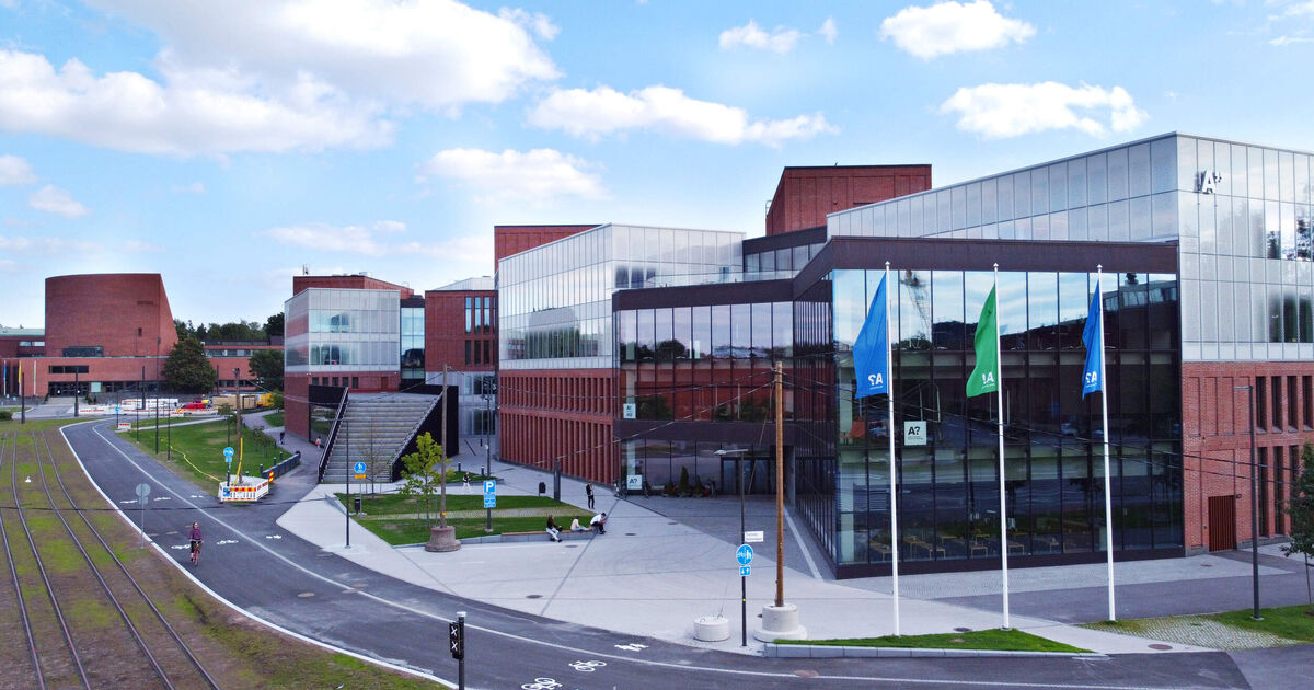 Aalto University School of Business' International Business degree