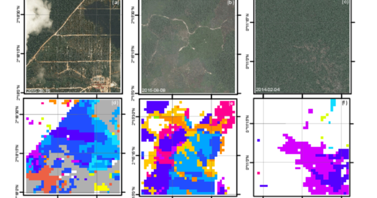Satellite data help reveal the loss of tropical rainforests | Aalto ...