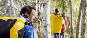 Aalto-health-forest-hiking