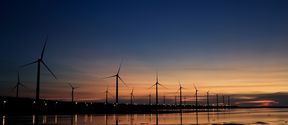 Wind farm by the water at sunset.