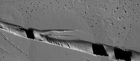 Formation of bridging filaments in chimeric silk coacervates