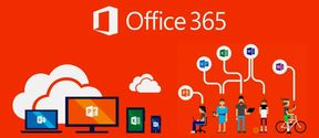 o365