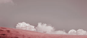 Photo by Petri Juntunen, called Untitled (Of Clouds and Clocks), 2019. A horse standing in front of clouds in the red-shaded picture.