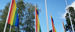 Pride flags