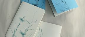 Four copies of The Waiting Room (Practising Building a Nest) lay together on white paper. Two covers are white, two are sky blue. They all show printed line drawings.