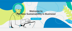 Homepage of The New Sustainability in Business course