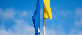 Blue and yellow flags.