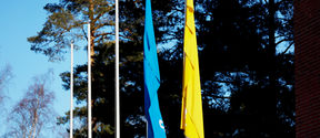 Blue and yellow flags.