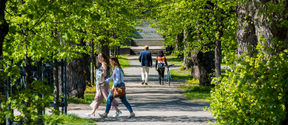People walking in a summery park