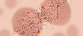 An illustration in various shades of red of cells interacting via a network of hubs and spokes. 