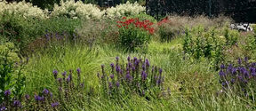 Colourful field with plenty of hay and flowers in summer