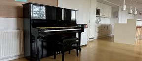Piano Top Loungessa