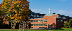 Next to the red-brick university building, a maple glows in the colours of autumn bushes, a work of art on the green lawn in the foreground