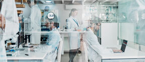 Researchers working in a laboratory. 
