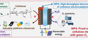 CELL2H2 project schematic