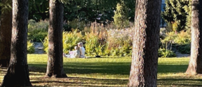 Two people sit on the grass in a park, partially shaded by trees, with colourful flowers and greenery in the background.