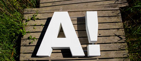 Large white letters 'A' and '!' on a wooden pier surrounded by grass and plants.