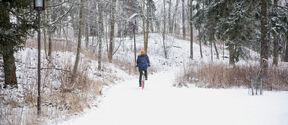 Siniseen takkiin ja oranssiin hattuun pukeutunut henkilö ajaa pyörällä lumisella polulla metsän läpi.