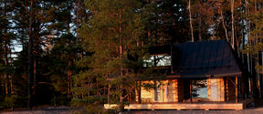 A wooden sauna with a black roof amidst tall trees, illuminated by warm sunlight.