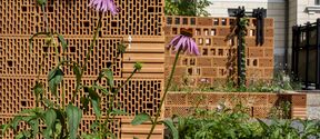 Purple coneflowers in front of a perforated brick wall, with a building and greenery in the background.