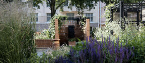 A lush garden with purple flowers and tall grasses in front of a brick structure, with trees and buildings in the background.