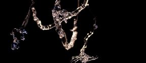 Abstract clear glass sculpture with twisting branches and tendrils against a dark background