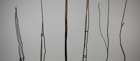 Tall thin metal rods arranged in a row against a plain grey background