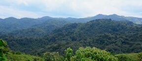Lush green forested hills under a bright cloudy sky, with dense trees covering rolling slopes.