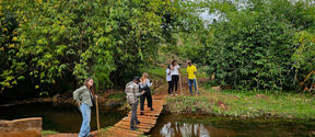 Group of people on a narrow wooden bridge over a stream in lush green forest