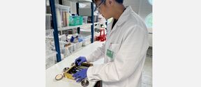 Scientist in white coat and gloves examining wooden samples at a lab bench with shelves and equipment