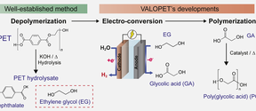 Graphical abstract for VALOPET project