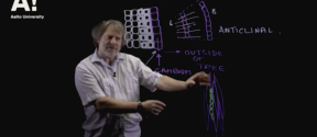 The lecturer Prof. Dr. Callum Hill explaining wood anatomy