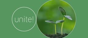 Two small green sprouts in soil beside the word “unite!” on a green background