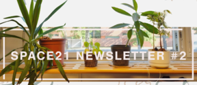 SPACE21 Newsletter #2 text over indoor window sill with green potted plants on a wooden shelf