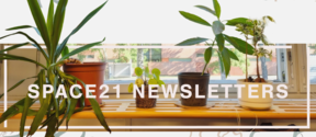 Indoor window ledge with assorted green potted plants and the text SPACE21 NEWSLETTERS in white letters.