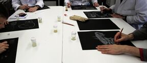 People in white lab coats drawing anatomical sketches on black paper around a white table