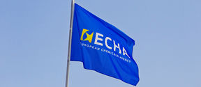 echa_017_ed_en_en.jpg