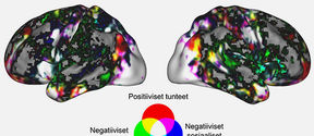 Suurin osa tunteista aktivoi laajoja, päällekkäisiä aivoverkostoja. Tunneryhmiä verrattaessa positiiviset tunteet aktivoivat muita enemmän etuotsalohkon alueita, negatiiviset perustunteet somatosensorisia ja subkortikaalisia alueita ja negatiiviset sosiaaliset tunteet motorisia ja sosiaalista informaatiota käsitteleviä alueita. Kuva: Heini Saarimäki