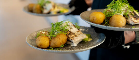 Person holds three plates with fish, new potatoes, and garnish