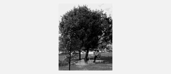 A person sits on a bench under a large tree, in a park. Picture is black and white.