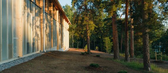 Side of a modern building with windows next to a pine forest. The ground is bare with a few young plants.